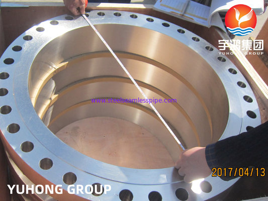 듀플렉스 스틸 바디 플랜지, ASTM A182 등급 F51 (UNS S31803), 부식성 환경에 적합