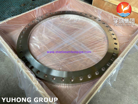 ASTM A240 TP904L (1.4539) AWWA C207 철강 플랜지