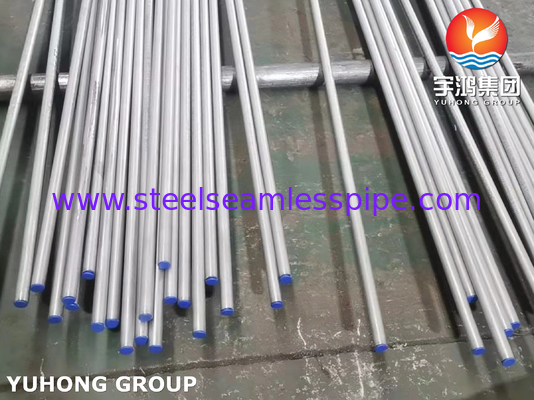 ASTM A213 (ASME SA213) TP444 열 교환기에 적용되는 스테인리스 스틸 무縫 파이프