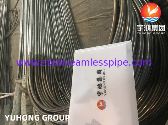 ASME SA249 TP316L 스테인리스강 U자형 튜브 열교환기