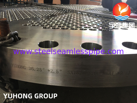 ASME SA182 F316L, 1.4404 열 교환기용 스테인레스 스틸 도장 파이프 시트