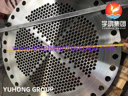 ASME SA182 F316L, 1.4404 열 교환기용 스테인레스 스틸 도장 파이프 시트