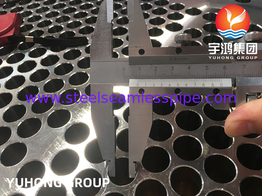 ASME SA182 F316L, 1.4404 열 교환기용 스테인레스 스틸 도장 파이프 시트