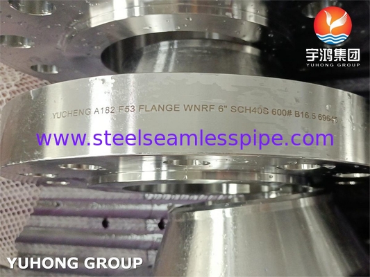 ASTM A182 F53 / UNS S32750 슈퍼 듀플렉스 스테인리스 스틸 2507 WNRF 플랜지