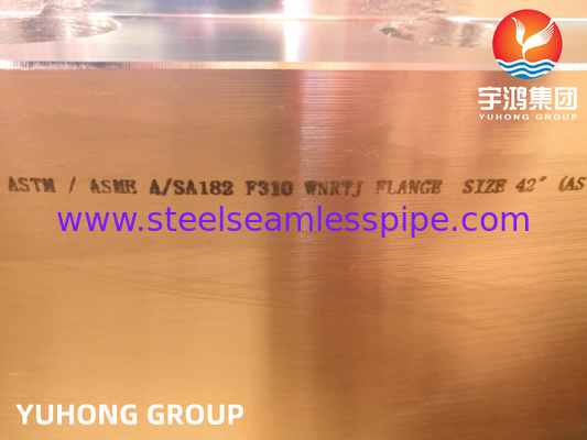 스테인리스 스틸 ASTM A182 F310 웰드 넥 플랜지 RTJ