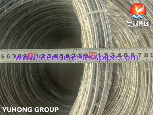 TP304/304L와 TP316/316L 스테인리스 이음새가 없는 코일 관 소금물에 절여진/밝은 단련한 표면 ASME SA213 등급을 매기십시오