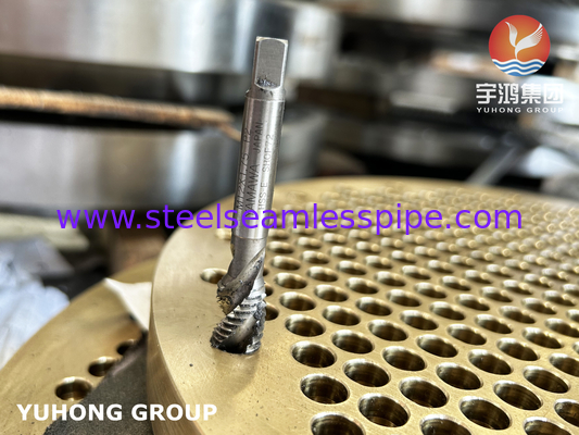 해군 Brass C46400 Tubesheet B171 Cuzn36sn1 해양 열 교환기용