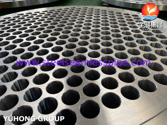 스테인리스 스틸 ASTM A182 F304L/F316L 열 교환기용 튜브 셰이트 바프