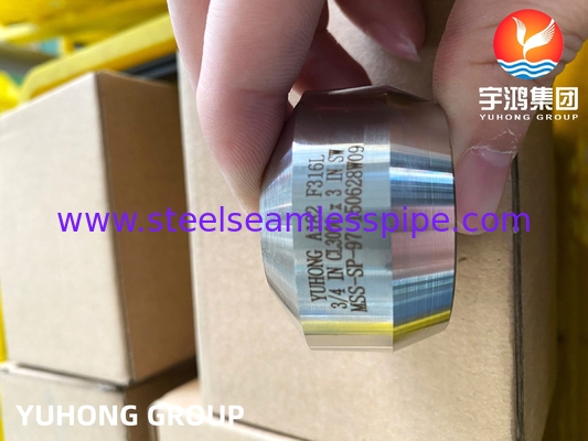 SS Weldolet A182 F316 / F316L 출구 스테인리스 스틸 가조 피팅