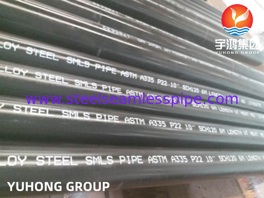 ASTM A335 P22 2-1/4Cr 전력 발전소/보일러/원자력 발전용 합금강 무결 파이프