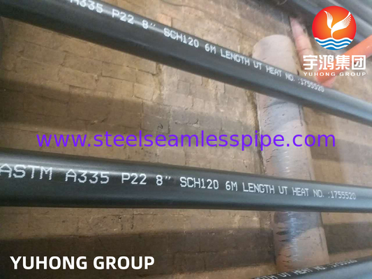 ASTM A335 P22 2-1/4Cr 전력 발전소/보일러/원자력 발전용 합금강 무결 파이프