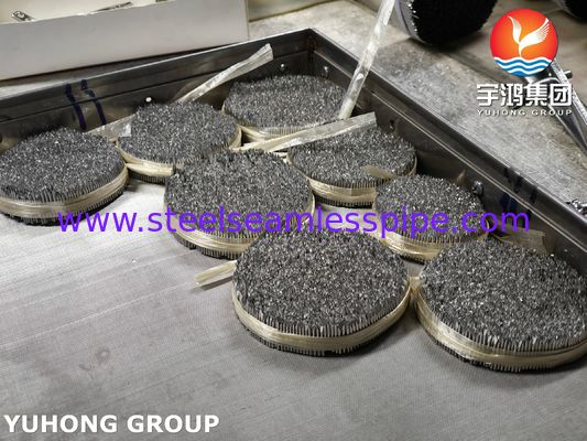 스테인리스 스틸 주사 바늘 튜브, SUS304 16G 동물 관리를 위한 수의사 바늘