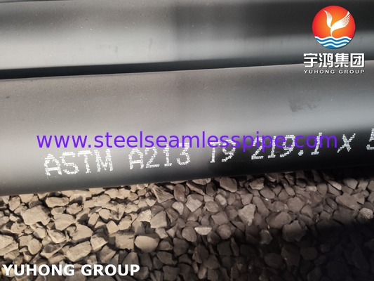 ASME SA213 / ASTM A213 T9 보일러, 슈퍼 히터 및 열 교환기에 대한 합금 강철 무선 파이프