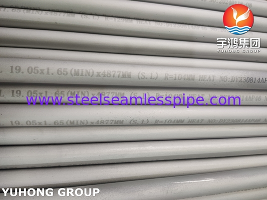 ASTM A213 TP316L 스테인리스 스틸 U 굽기 파이프 오일 가스 열 교환 파이프