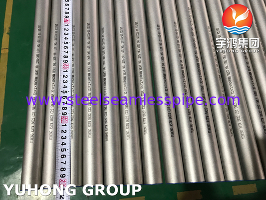 니켈 합금 튜브 ASTM B622 하스텔로이 C22 UNS N06022 원자로 용기