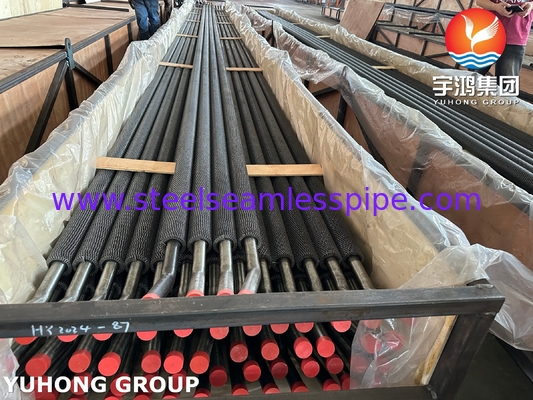 ASTM A213 T11 합금강 세스무스 튜브