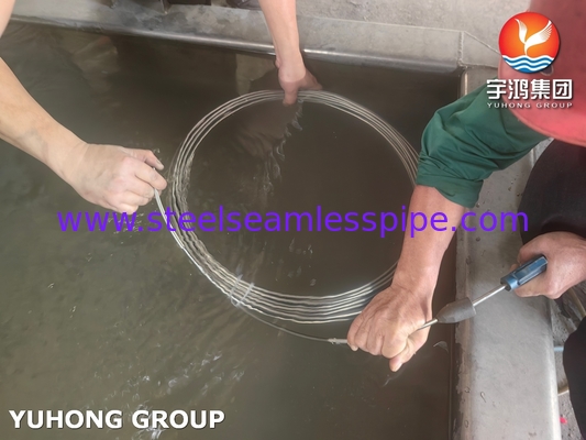 ASTM A269 TP316L 오스테나이트 스테인리스강 코일 튜빙 (일반 서비스용)
