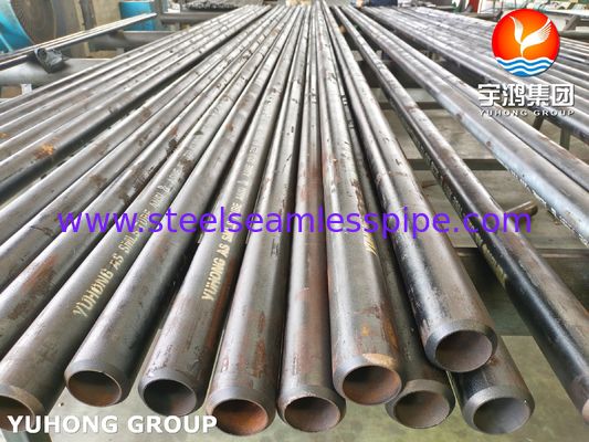 ASME SA213 T22 / 12Cr2Mo 합금강 이음매 없는 튜브, 발전소 보일러 및 과열기에 사용