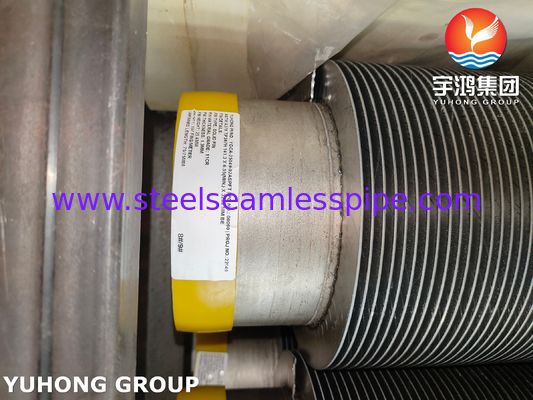 ASTM A376 TP347H 솔리드 나선형 고주파 용접 HFW 핀 튜브 (11Cr)