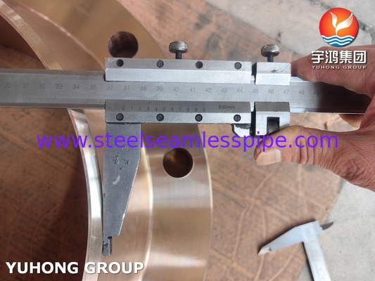 ASTM B283 C70620 구리 니켈 합금 플랜지 (화학 산업용)