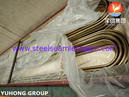 해수 저항성 ASTM B111 C44300 U-Bend 파이프 열 교환기 공급자