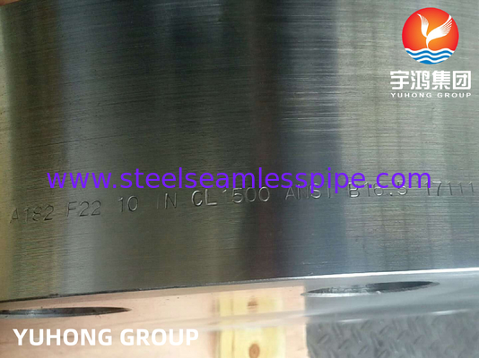 ASTM A182 F22 합금강 플랜지 단조 블라인드 레이즈드 페이스 B16.5