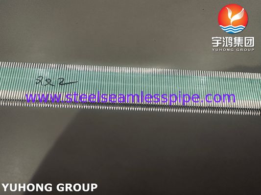 SUS304 의료용 AV 동정맥루 바늘 튜브 (혈액 투석 치료용), 후면 아이 베벨 팁