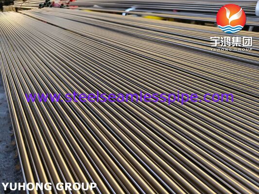 열교환기용 고내식성 및 고온 크리프 저항성을 갖춘 ASTM A213 TP321H 밝은 어닐링 스테인리스강 이음매 없는 튜브