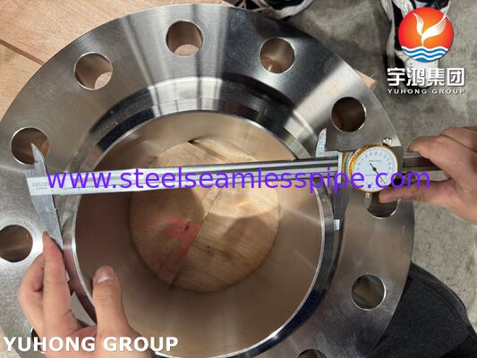 ASTM A182 F51 이중 2205 단조 블라인드 RF 플랜지, 석유 및 가스용 고강도, 내식성