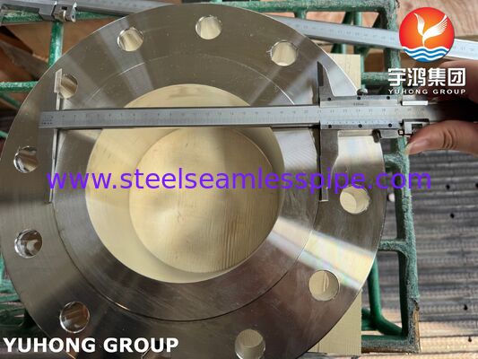 ASTM A182 F316/316L 스테인리스 스틸 플랜지 파이프 시스템 내의 웨일드 넥 / WNRF 플랜지
