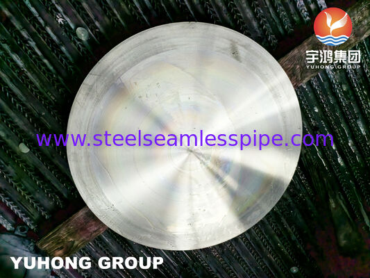 도장 ASTM A182 F304H 스테인리스 스틸 블라인드 플레이트 / 플랜지 평면