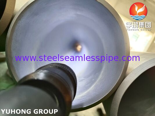 ASTM A376 TP347H 매듭 없는 튜브 Nb-정화 515MPa 900°C까지 슈퍼 히터 재 히터 크래킹 오븐