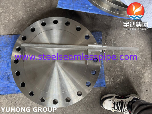 ASTM A182 F316L 블라인드 플랜지 1.4404 스테인리스 스틸 플랜지 단조 플랜지 BLRF 플랜지