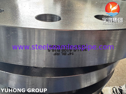 ASTM A182 F316L 블라인드 플랜지 1.4404 스테인리스 스틸 플랜지 단조 플랜지 BLRF 플랜지