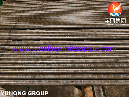 ASTM A213 T2 콘덴서 튜브 | 고온 이음매없는 보일러 튜빙