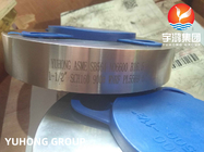 ASTM B564/ASME SB564 WN RF INCONEL 600/N06600 도장 니켈 합금 철강 플랜지