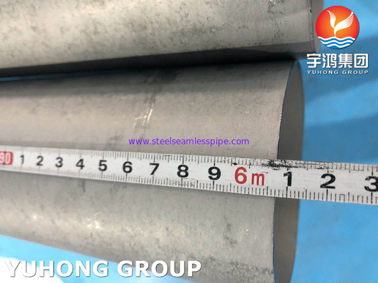 ASTM A789 UNS S32205 해수 해산용 듀플렉스 스테인리스 스틸 튜브