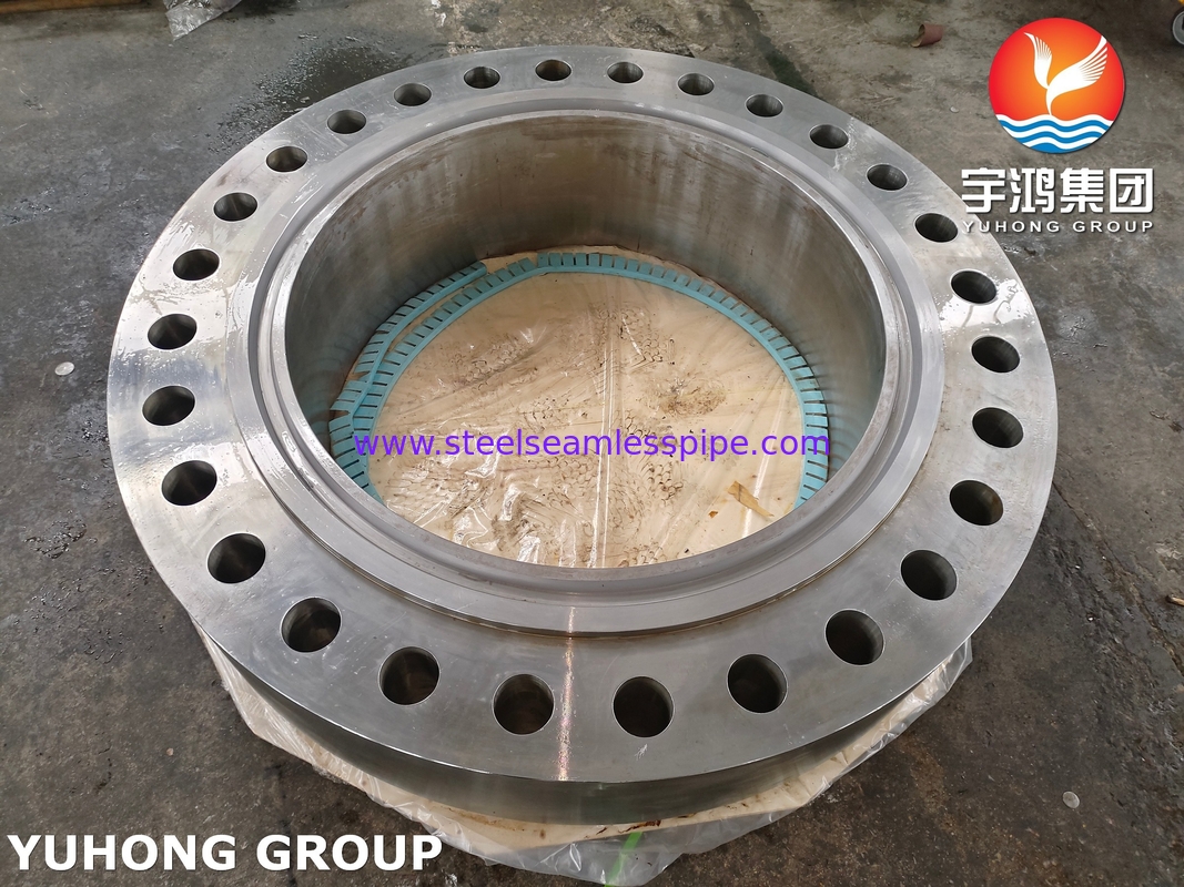 ASME SA266 Gr.2N 탄소 강철 도장 압력 용기용 강철 체구 플랜지