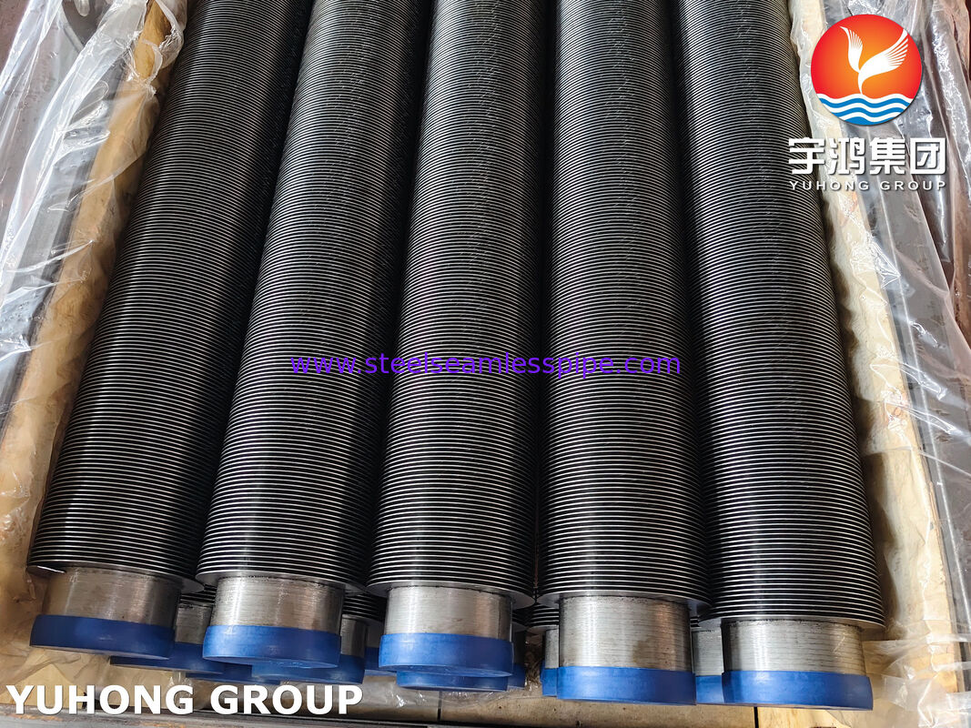 ASTM A376 TP347H Carbon Steel Fin High Frequency Welded Fin Tube for Power Plant Economizer