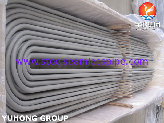SA213 /SA213 TP304L/TP316L 원활한 U 벤드 튜브, MIN. 벽 두께, 100% ET / HT