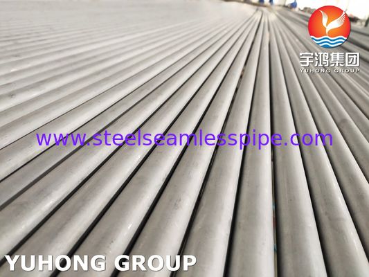 듀플렉스 스테인리스 파이프, A / SA789, A / SA790, A / SA928, DIN17456 / 17458, EN10216-5 UNS S31803, S32205, S32101, S32304, S32750