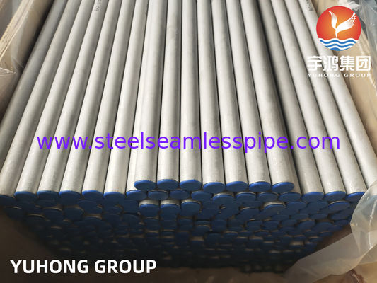ASTM A213/ ASME SA213 TP317/ TP317L/TP317LMN 스테인리스 스틸 튜브