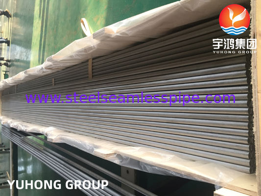 ASTM A213/ ASME SA213 TP317/ TP317L/TP317LMN 스테인리스 스틸 튜브