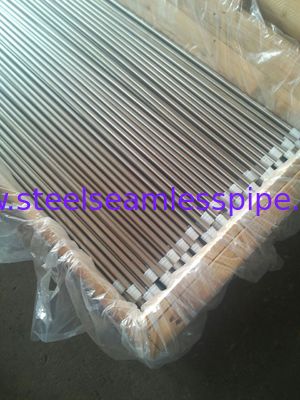 열교환기를 위한 밝은 단련된 스테인리스 관 ASTM A213/ASME SA213-10a TP304/TP304H/TP304L