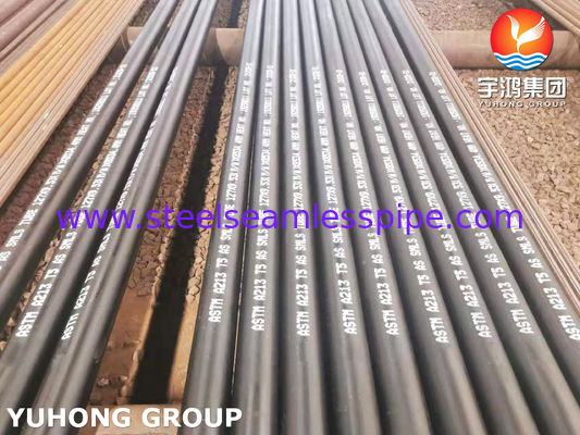 ASTM A213 T5 15Mo3 크로뮴-몰리브덴 합금강 심리스 보일러 튜브 열간 압연