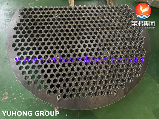 ASME SA283 Gr.C 열 교환기 용 단일 세그먼트 바플