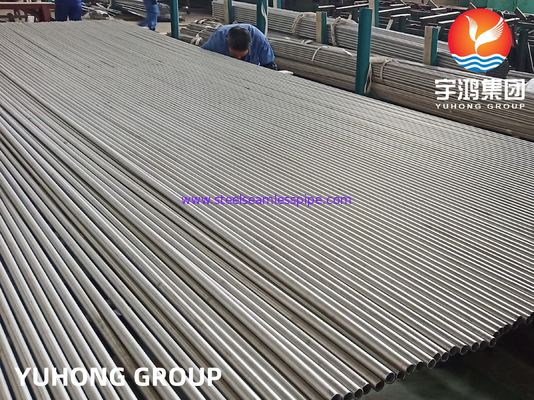 ASME SA213 TP316L 스테인레스 강 이음새가 없는 열 교환기 튜브